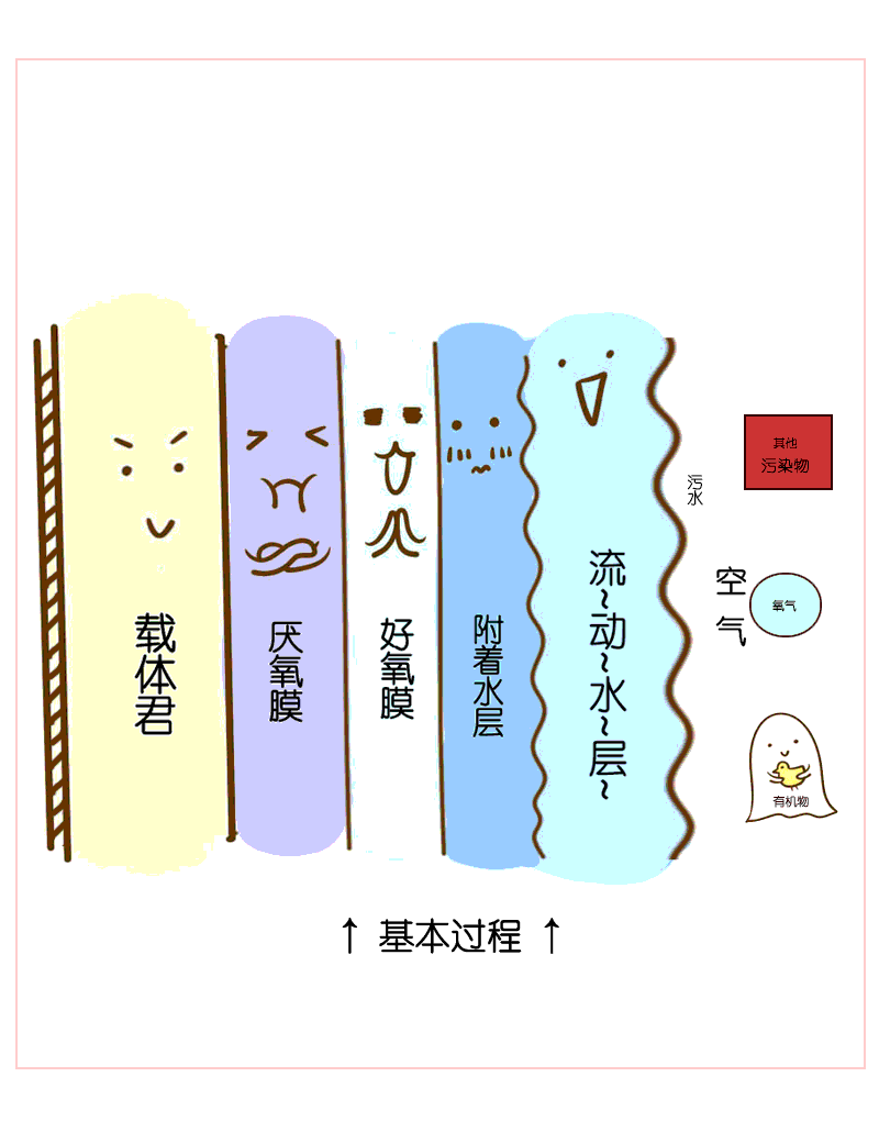 生物膜法工藝