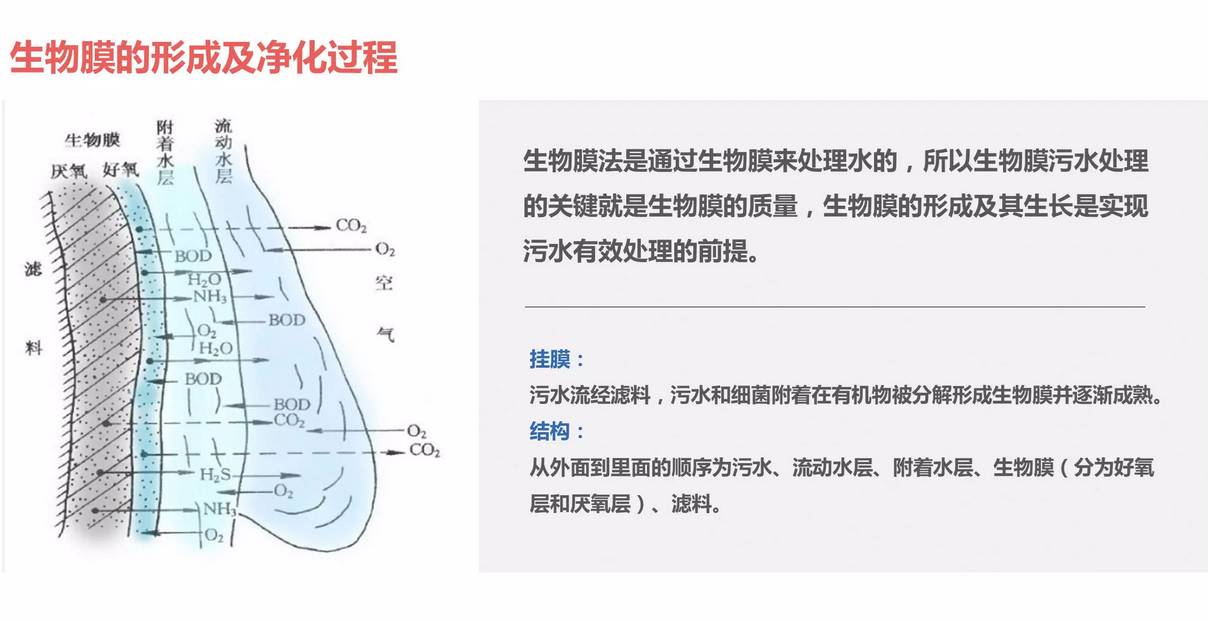 科力邇