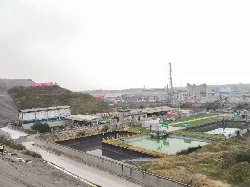 科力邇