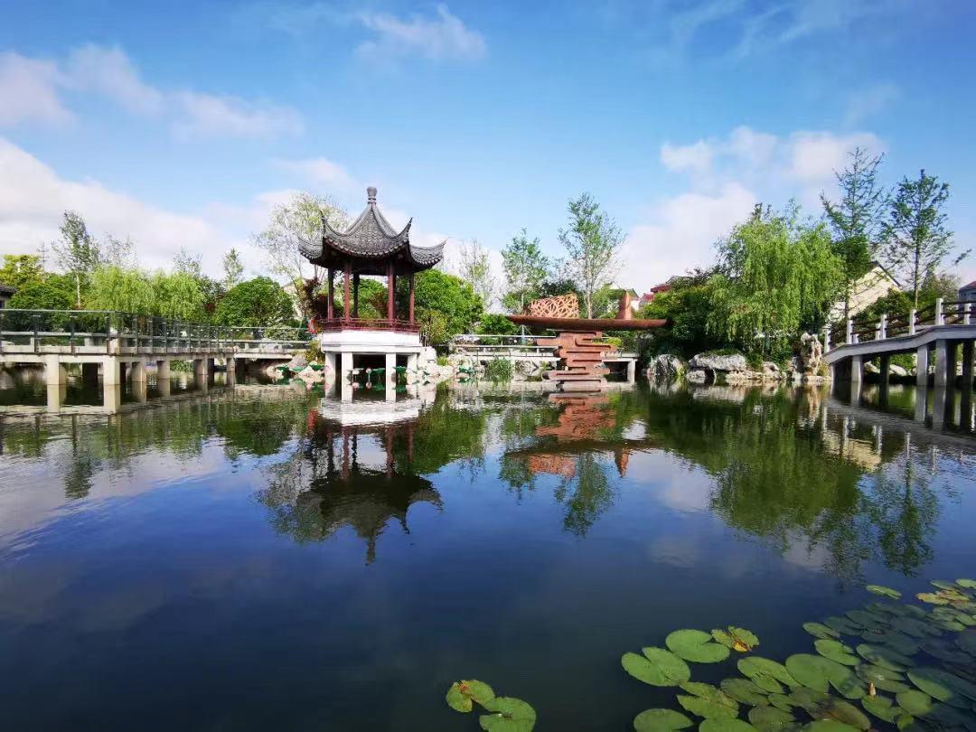 科力邇 科力邇