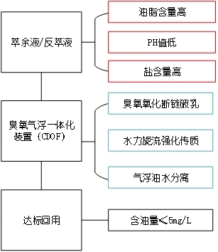 科力邇