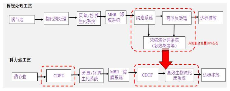 科力邇 科力邇