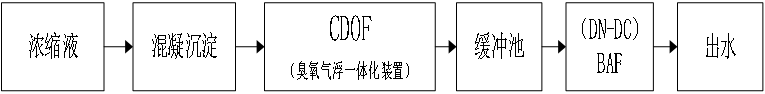 科力邇 科力邇