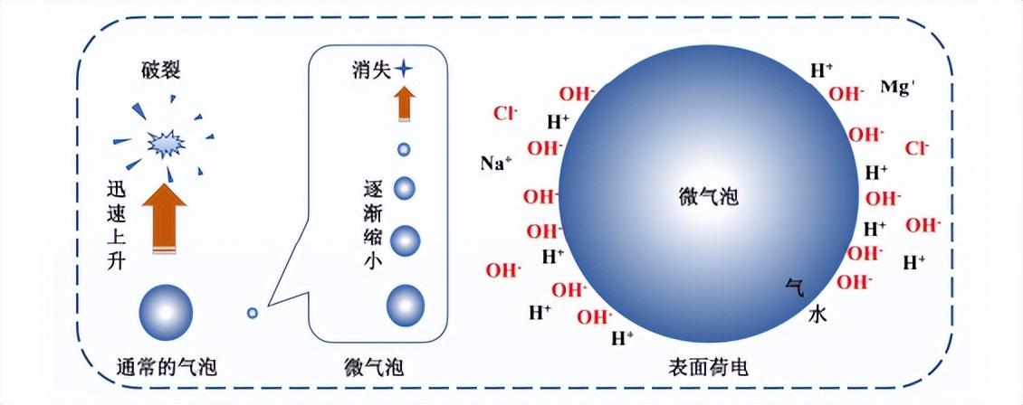 科力邇 科力邇