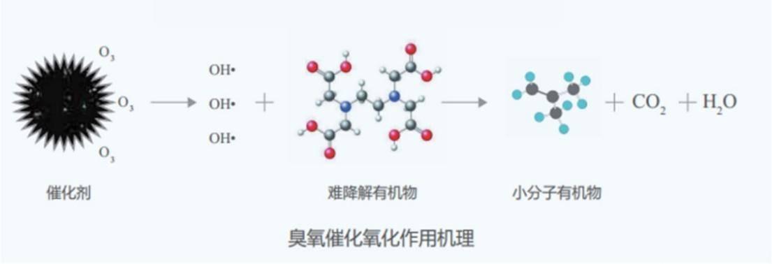 科力邇 科力邇