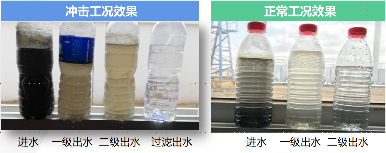 科力邇 科力邇