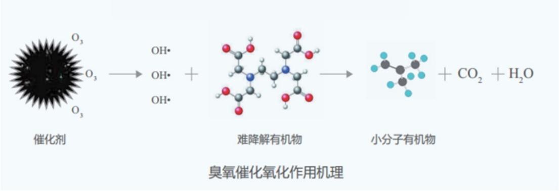 科力邇 科力邇