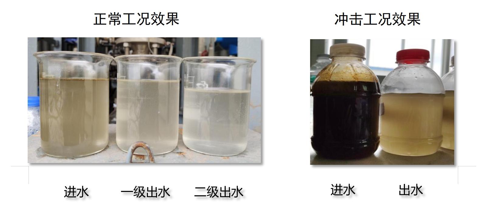 科力邇 科力邇