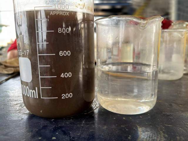 科力邇 科力邇