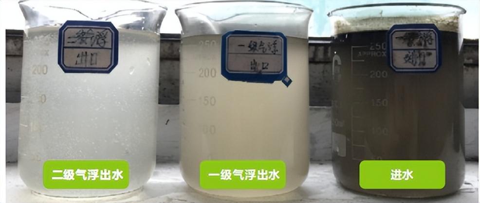 科力邇 科力邇