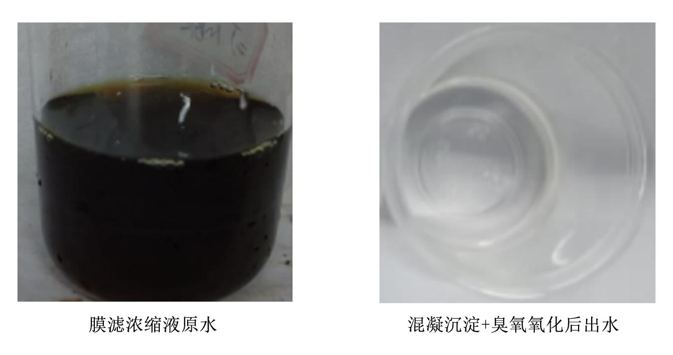 科力邇 科力邇