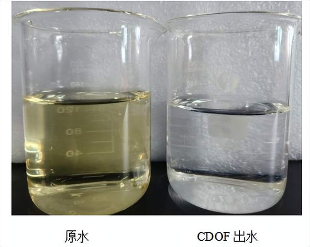 科力邇 科力邇