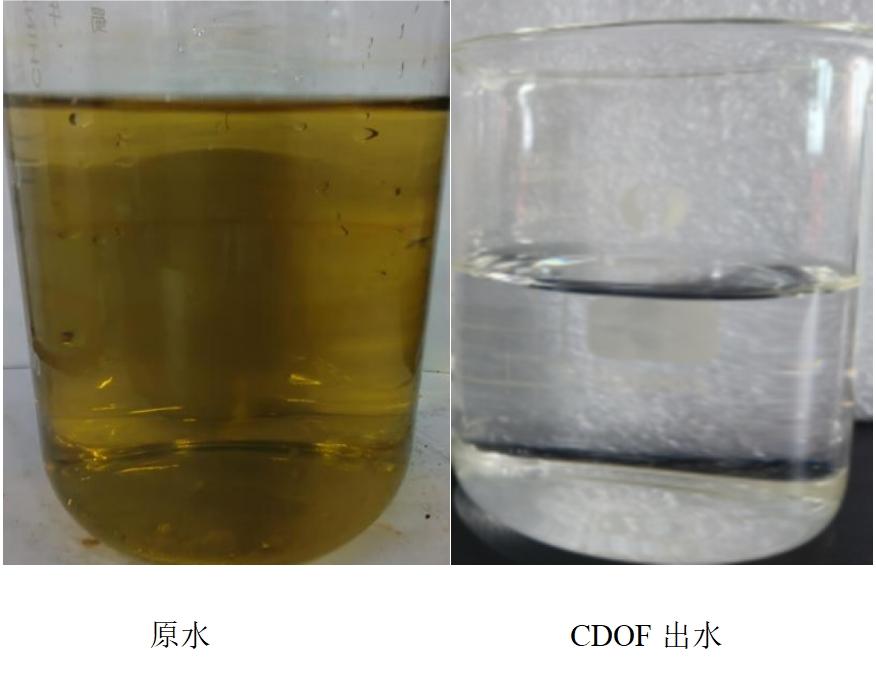 科力邇 科力邇