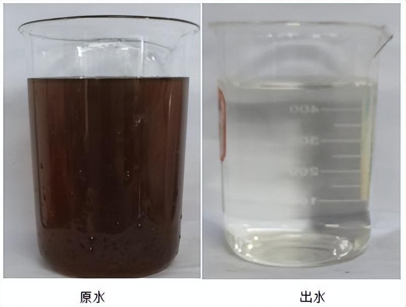 科力邇 科力邇