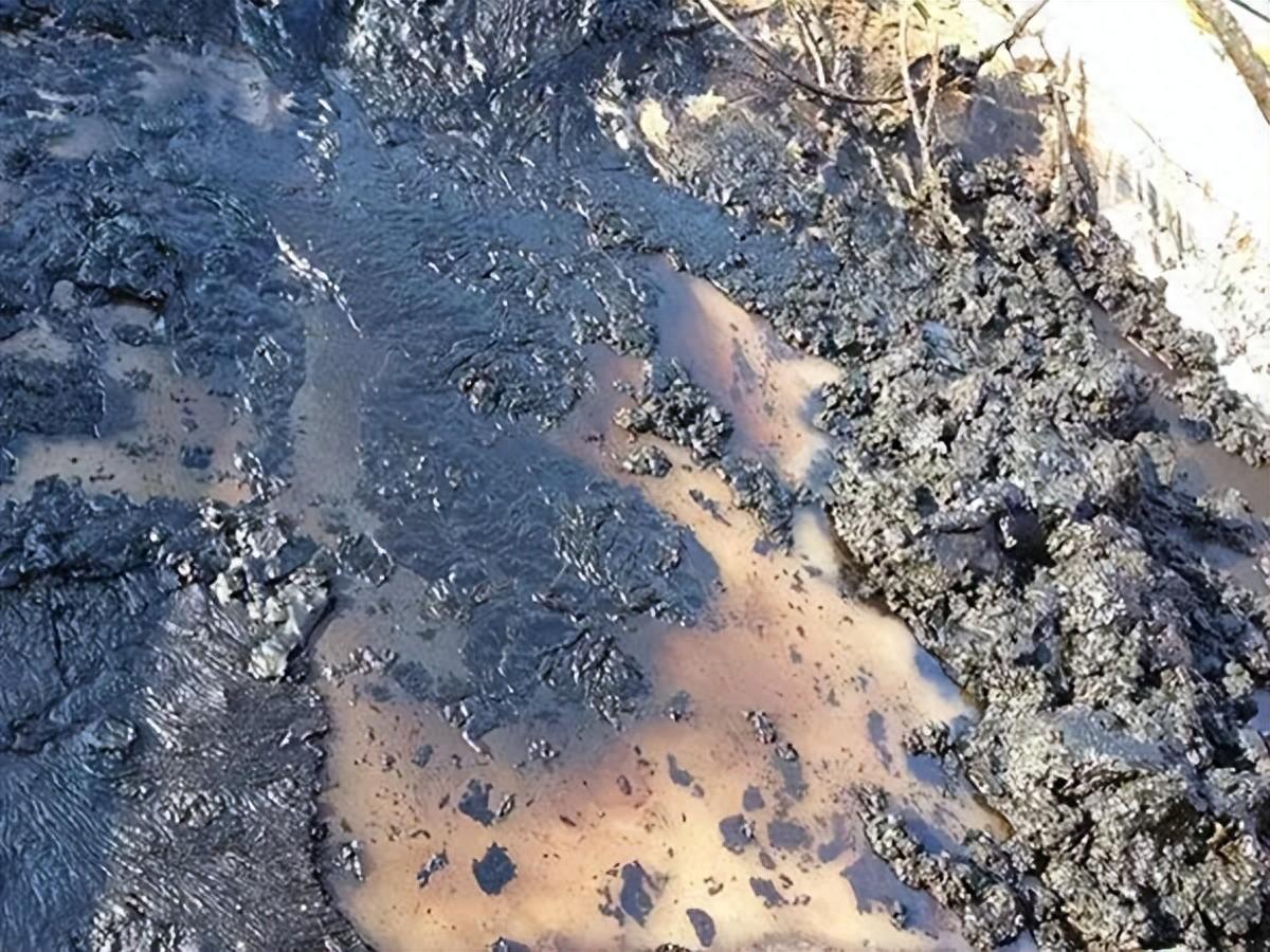 科力邇 科力邇