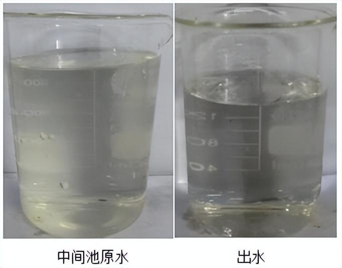 科力邇 科力邇