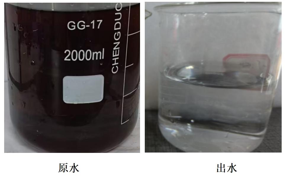科力邇 科力邇