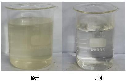 科力邇 科力邇