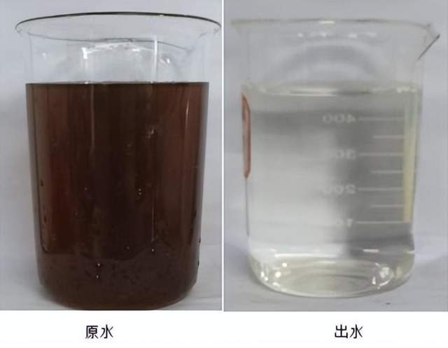 科力邇 科力邇