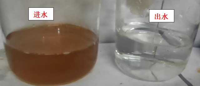 科力邇 科力邇