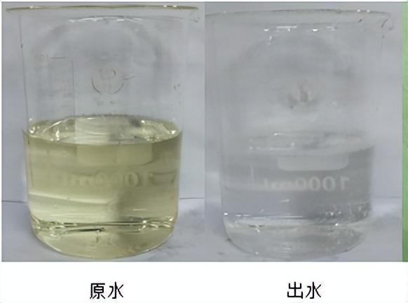 科力邇 科力邇