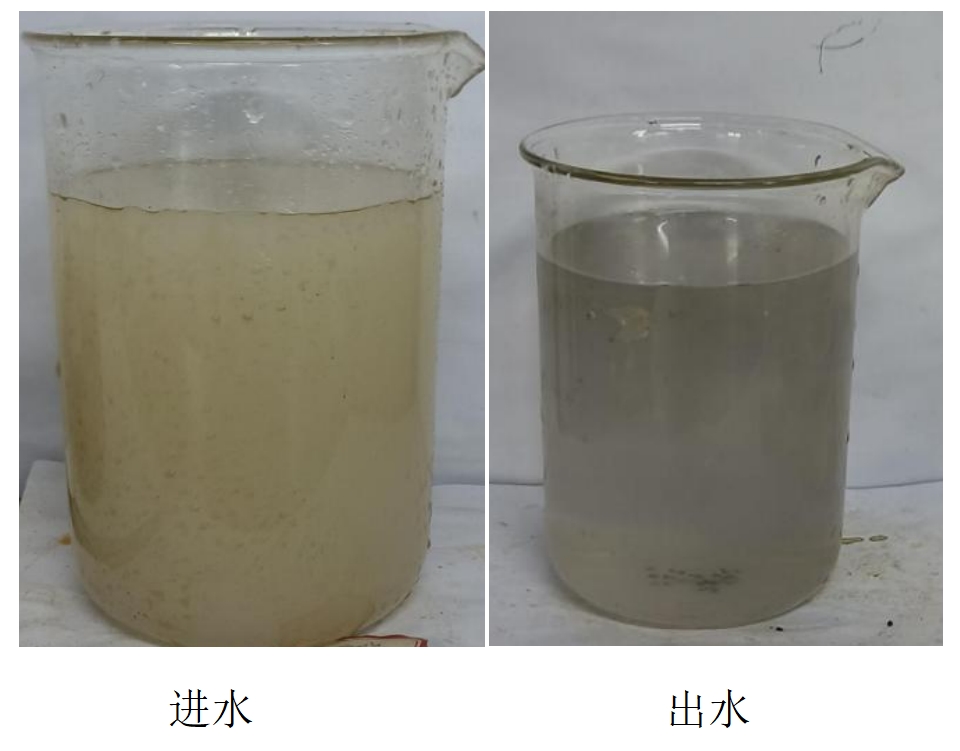 科力邇