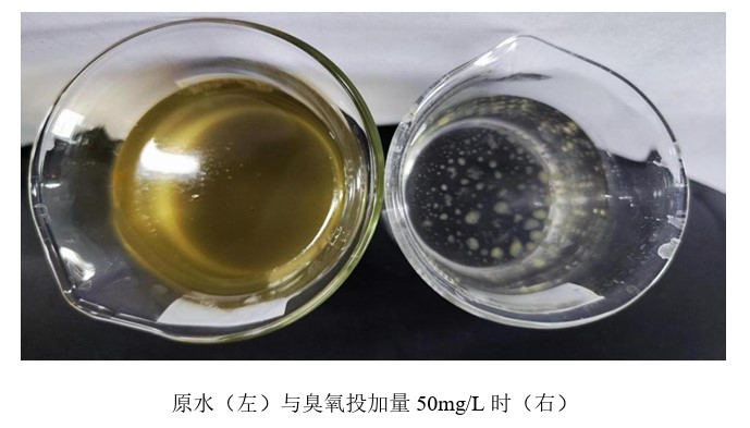 科力邇