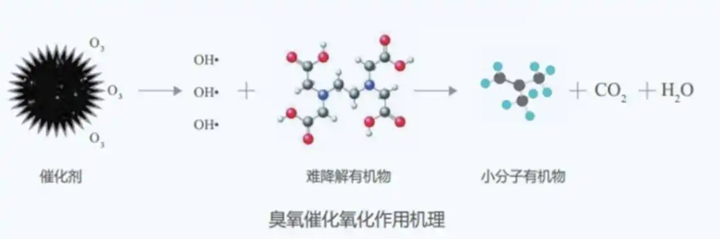 科力邇