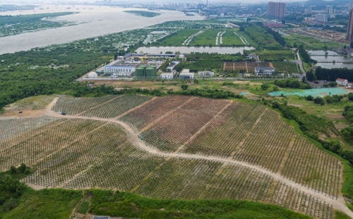 合肥龍泉山垃圾填埋場歷史封場，生態(tài)修復(fù)計劃展開新篇章